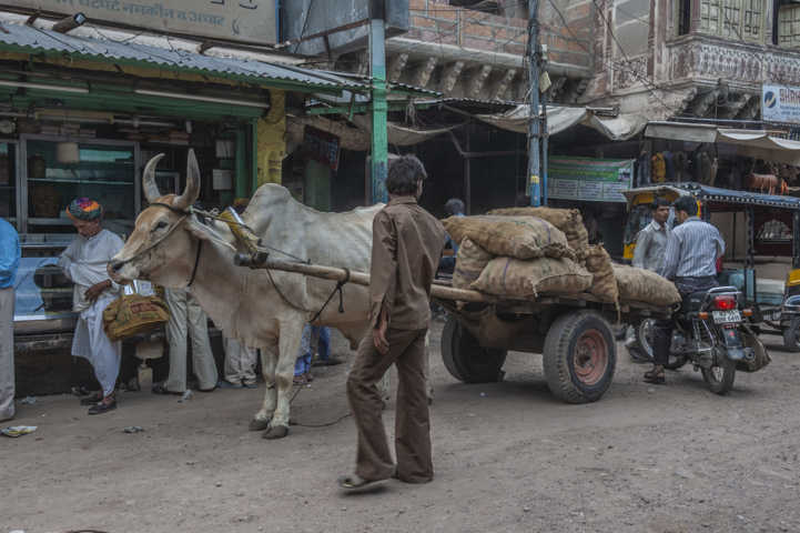 85 - India - carro con buey
